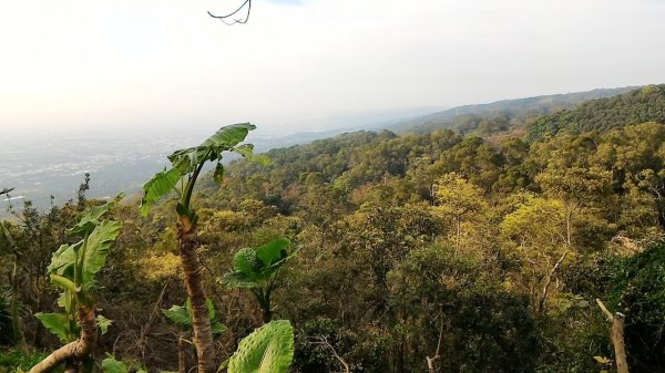 南投松柏坑山，登廟步道，賞茶步道，七星陣地公園，日月潭，彰化石牌坑古道1681300