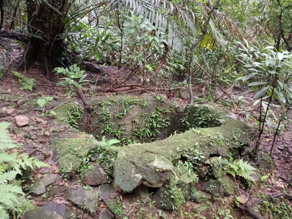 頭城鎮石城車站+隆嶺越嶺古道+隆嶺溪畔古道+福隆車站3002273