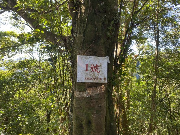 2025微笑山線大縱走尋寶集章任務-Ep.08【二格山系】筆架連峰段｜二格山 × 筆架山北峰2921631