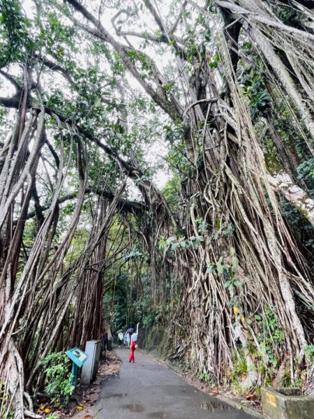 1120326 HK西高山｜盧吉道-夏力道O繞2085427
