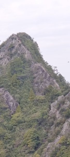 中級山-鳶嘴稍來2889033