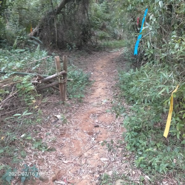 皮皮:三段崎古道2838655