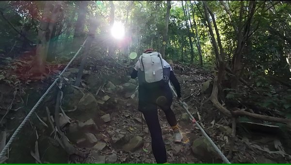 白毛山(谷關七雄No:6)3069015