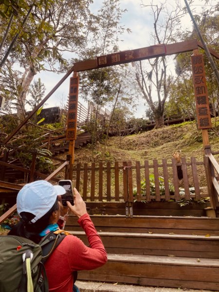 青潭越嶺政大-賞梅花🌸安坑🐦嘴四秀2691674