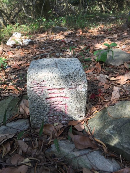 20220305高雄望頭山1633601