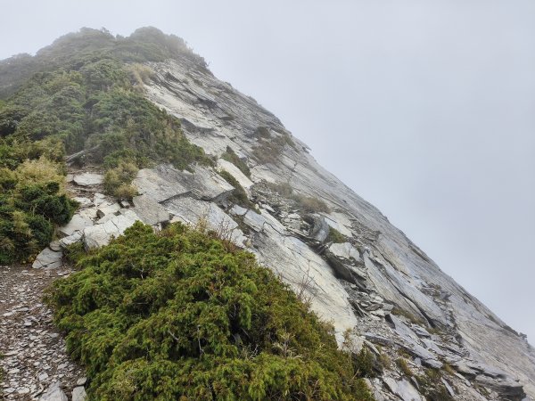 北一段(06/14)巴巴山 2025_0906~132886702