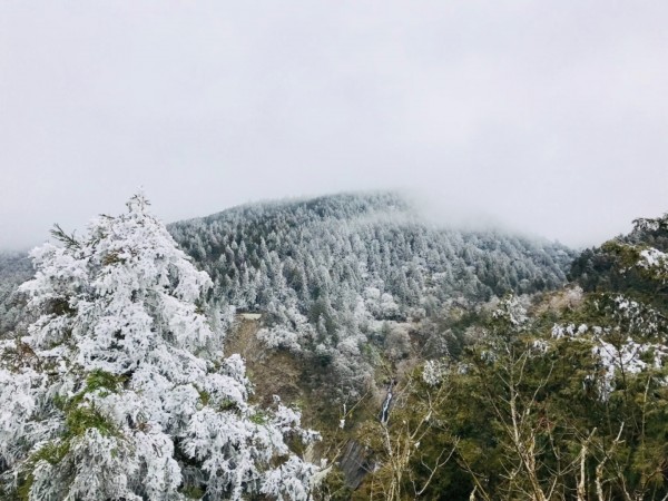 2018013冰凍太平山249019