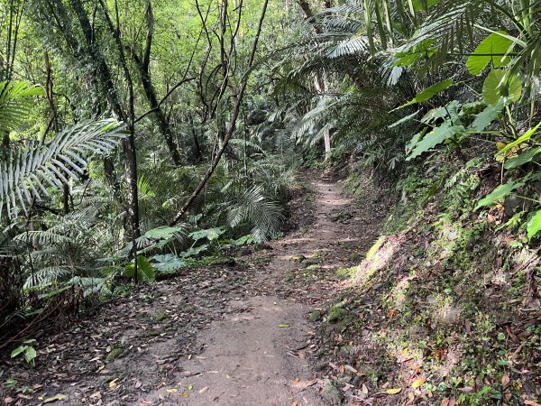 [皮皮獅探險隊-01/10] 2025_0706 六寮古道2830741