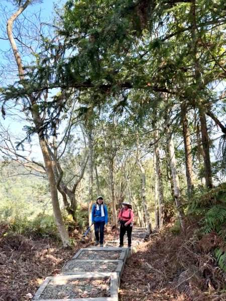 能高瀑布 福興山尋血藤3022246