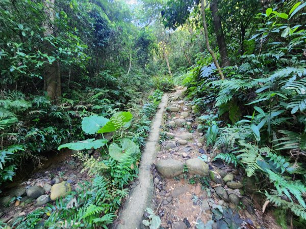 20250913秀才步道福人步道保甲古道2929854
