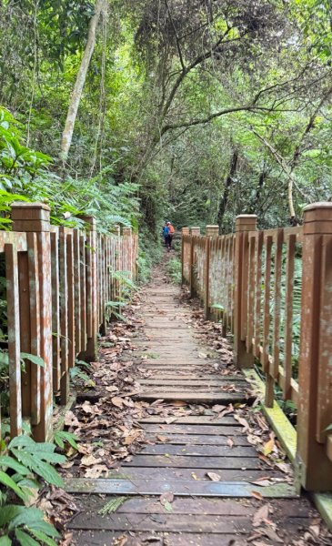 鳴鳳山古道群走鳴鳳山 三湖山吃仙草冰2923295