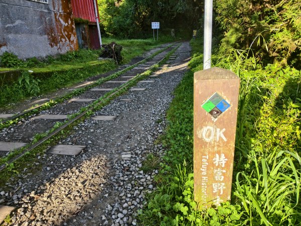 [百山百鳥尋旅-12/15] 2025_0928 特富野古道2899591