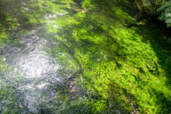 錶銀座/上高地-槍岳逆走-燕岳2937156