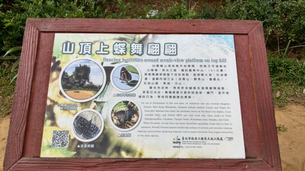 台北市大湖白鷺鷥山步道716553