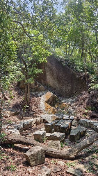 (姨婆趴趴走)第五十四集:攀登台北內湖剪刀石山、金面山2775891