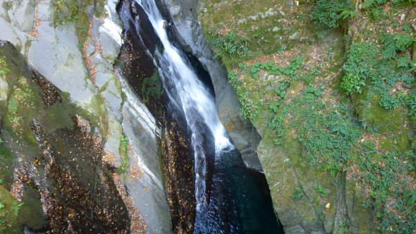 大霧彌漫大霸群峰490240