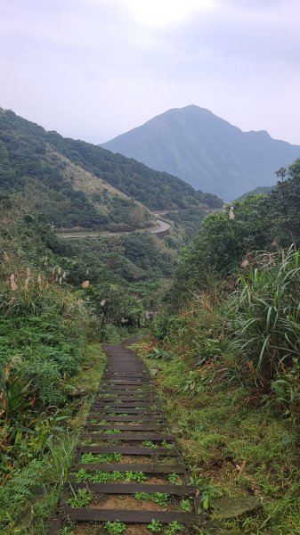 2021-1230 百二崁、燦光寮、貂山古道、地質公園步道O型1565414