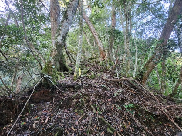 20241124布奴加里山2679118