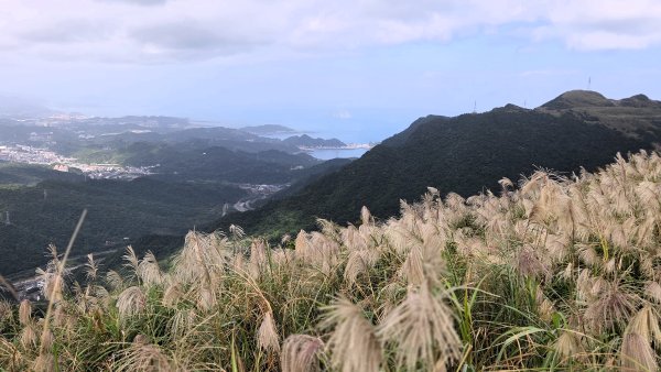 秋季品味古道與芒海的山行在猴硐牡丹山與金瓜石山2950967
