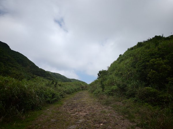 [淡蘭古道] 2026_0531 北路第一段_燦光寮古道(中)-陡坡3070893