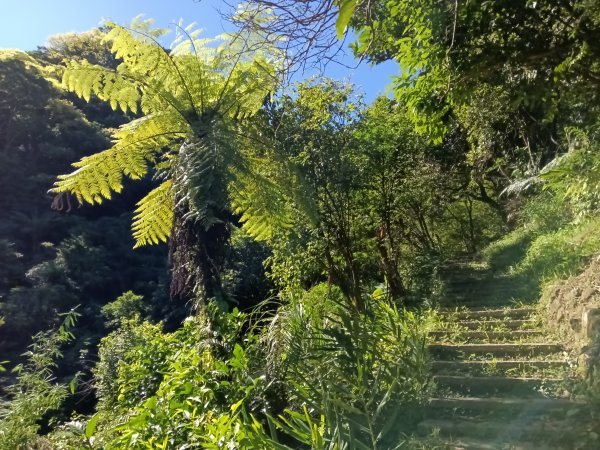 汐止區白雲古道+白雲寺O型2911955