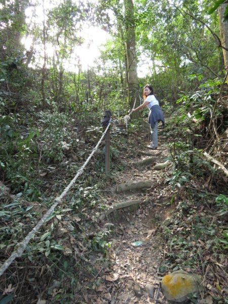 頭嵙山(聖普宮路線)105220