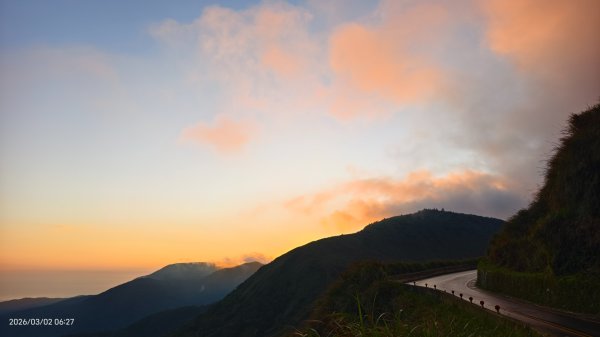 追花是簡單的快樂，賞花是恬淡的幸褔 3/2&73008749