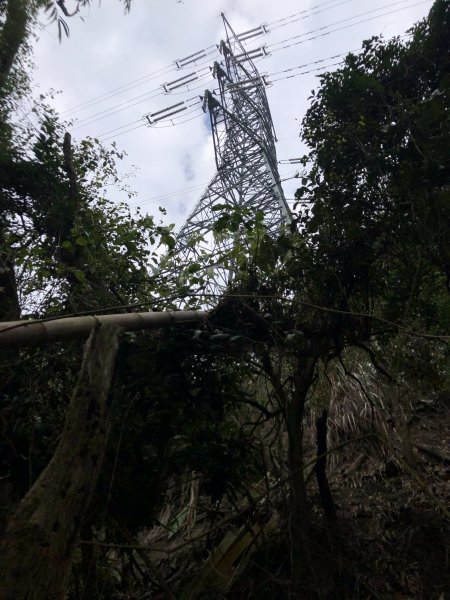 烏山嶺水利古道1610017