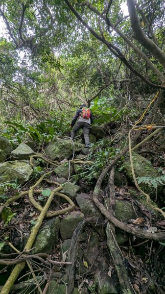 113.12.28小鷹尖-關山嶺-五八山-凌雲尖-龍女岩之旅2679364