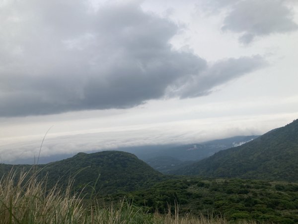 大屯山登山步道2472583