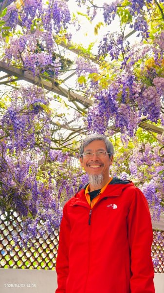 追花是簡單的快樂，賞花是恬淡的幸褔 4/32751463