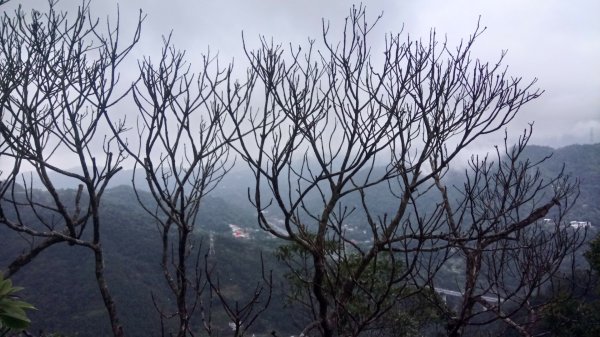 筆架連峰，二格山（小百岳）連走505708