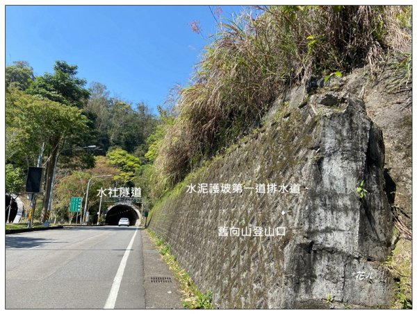 向山、向山遊客中心2747272