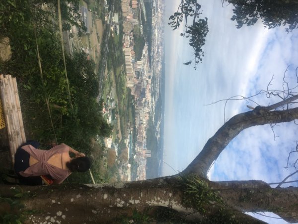 鳶山三連峰O繞一圈（三峽老街祭五臟廟 #鳶山 #鳶山東峰 #鳶尾山 #鳶山岩 #三峽老街2683237