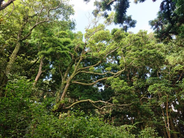 東眼山-拉卡山O型950450