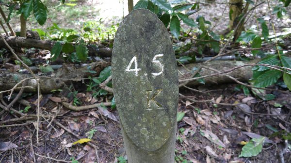 三訪跑馬古道登山健行趣（淡蘭南路TK3-10）1517793