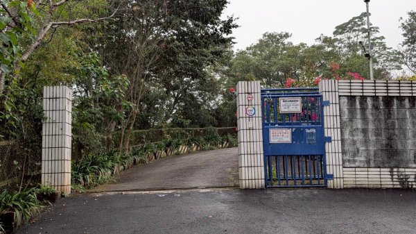 貓囒山步道2928520