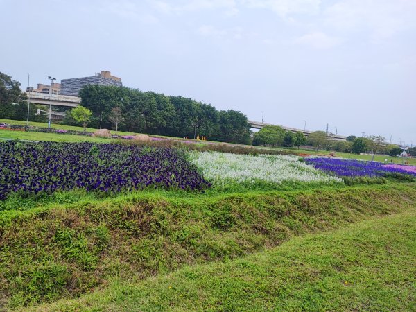 2024年臺北大縱走第八段：捷運動物園站至捷運關渡站2471086