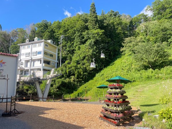 日本白馬-八方池-唐松岳3099693