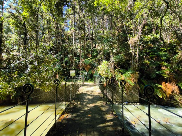 2024-08-22 澀水森林步道2578385