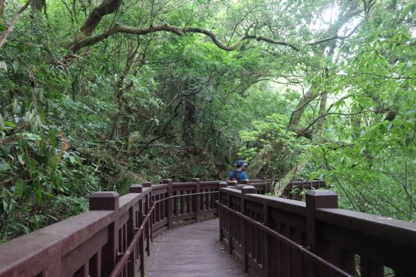 〔陽明山 〕面天山 向天山 向天池 二子坪步道。火山口湖 獨特生物蚌蟲 向天蝦（豐年蝦）2235365