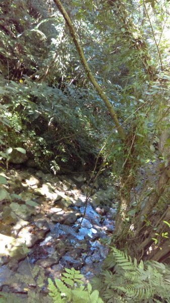 【臺北大縱走7】貓空壺穴、優美的茶香步道804925