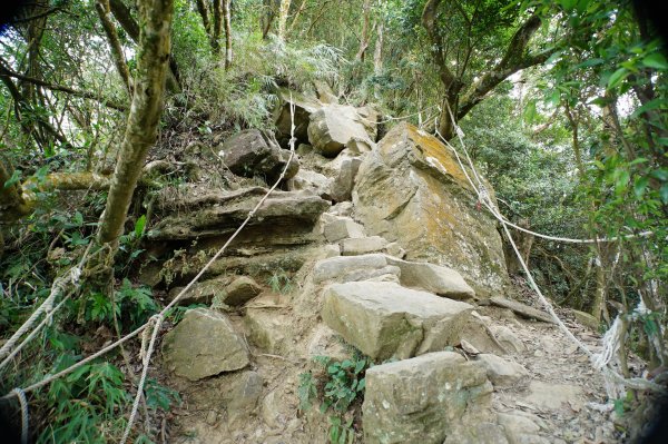 苗栗 獅潭 仙山、大窩山2984275