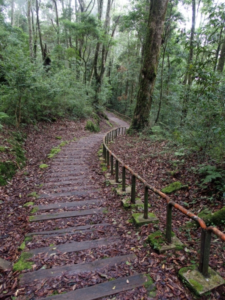 特富野古道90532