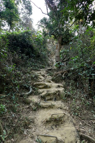 觀音山｜大社觀音山小百岳3002728