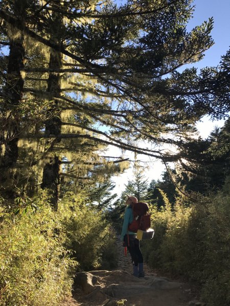 雪山 不下雪532989