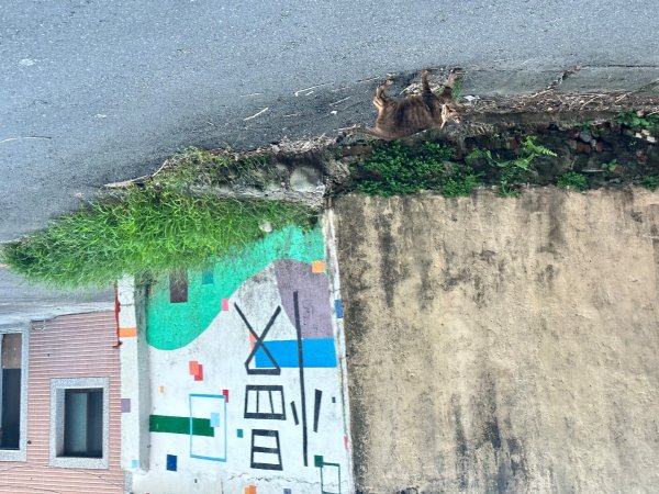 霄裡半日遊賞2895271