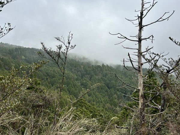 翠峰湖環山步道2763395