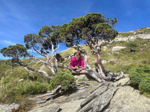 合歡山北峰2908746