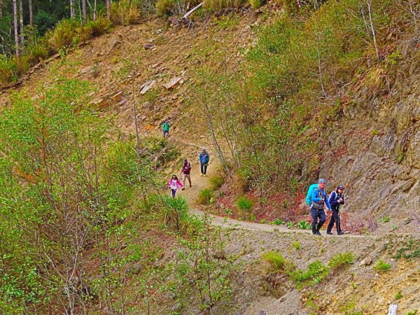 阿里山尋石山，五彩繽紛的石山引水道792454